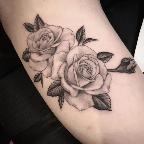 Flower, Rose