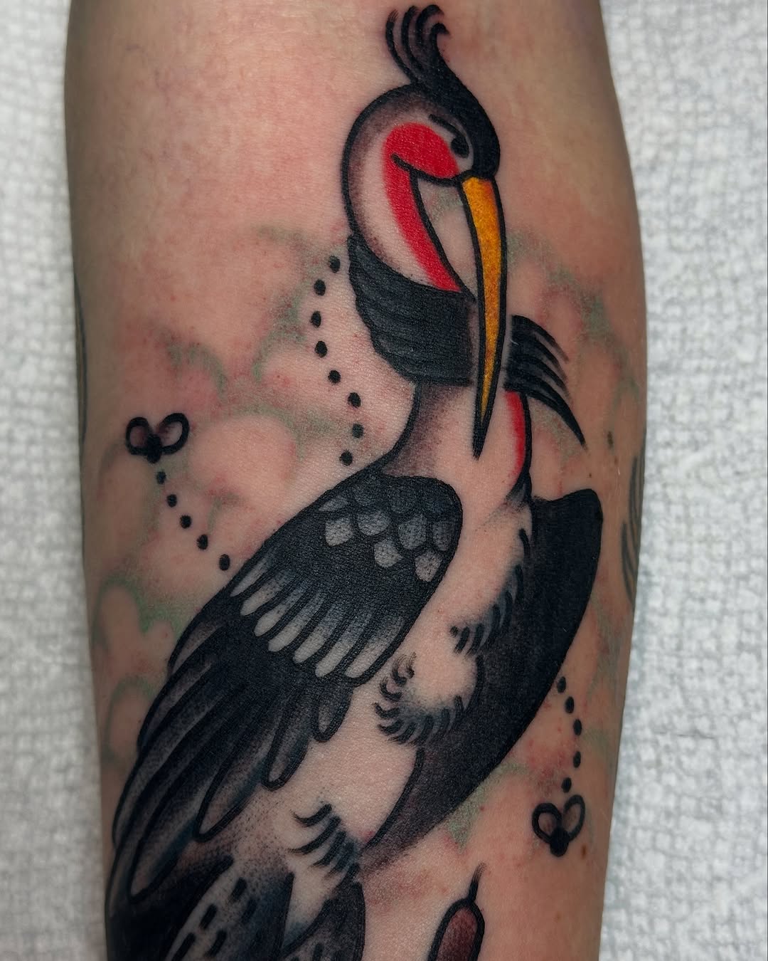 nickmorantattooer