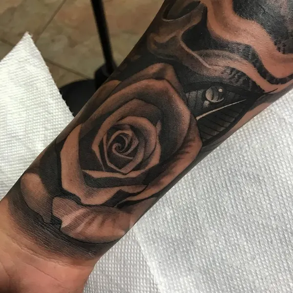 Flower, Rose