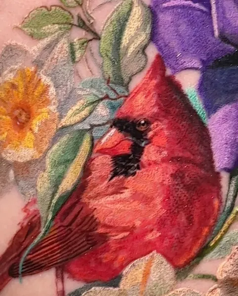 Flower, Animal, Nature