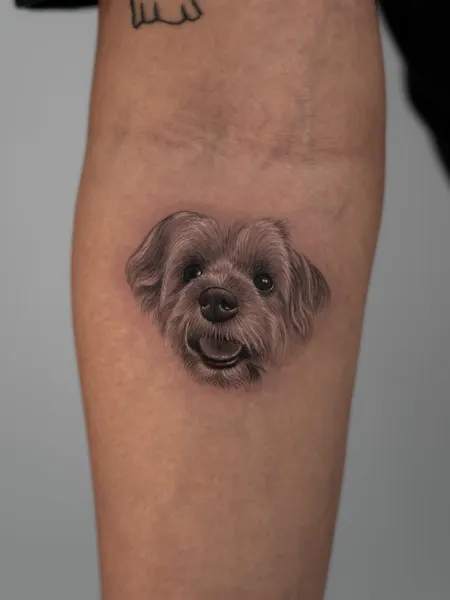 Animal