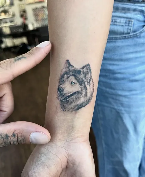 romeolacoste
