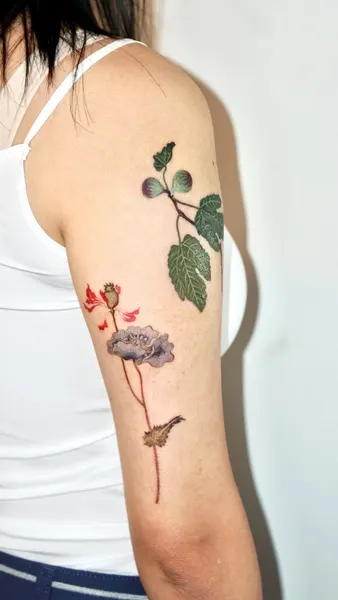 Flower, Rose