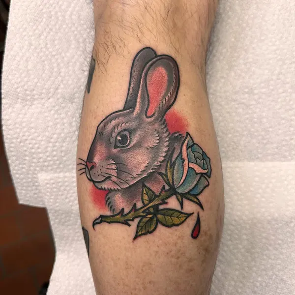 Animal