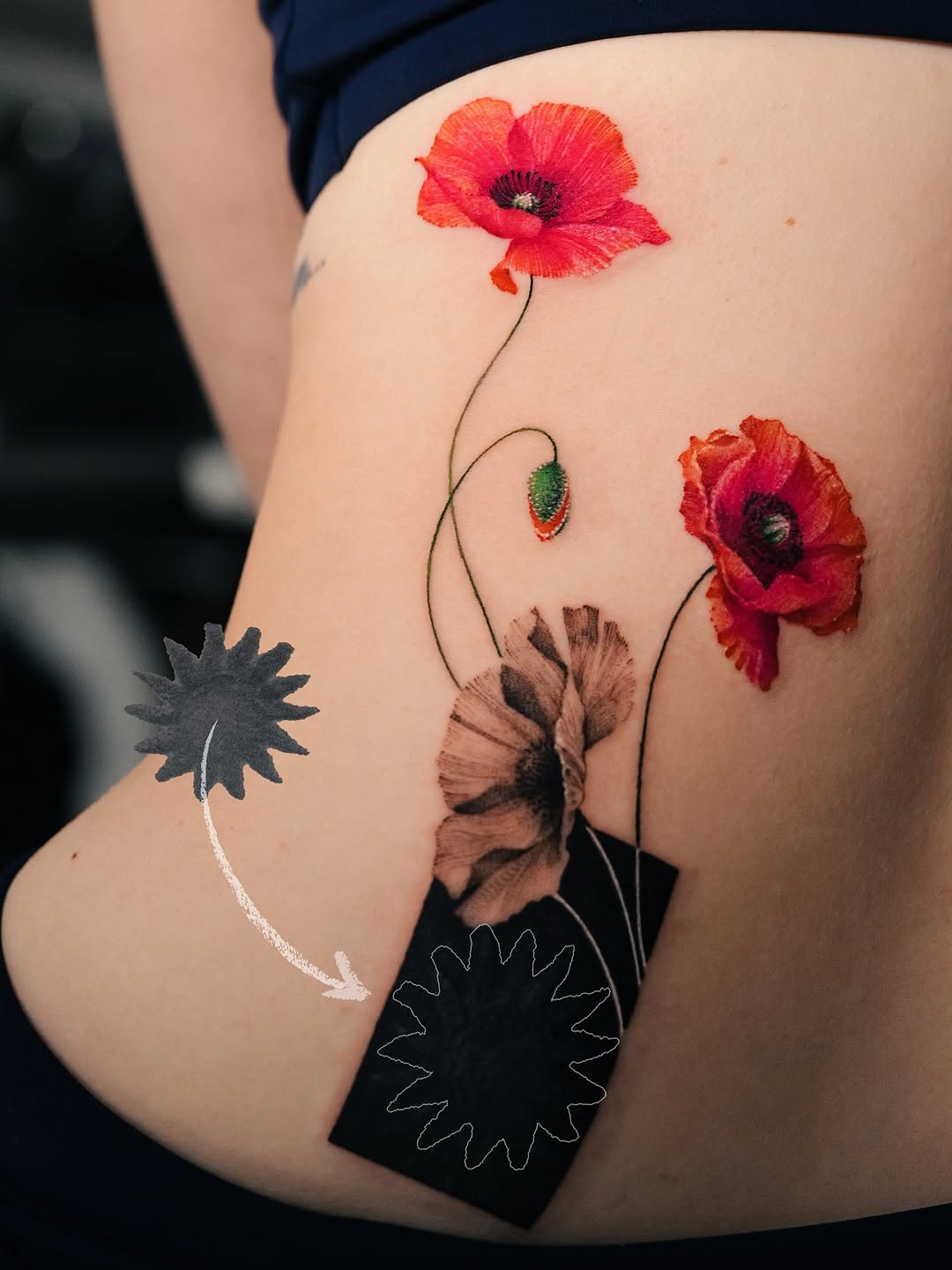 Flower, Rose, 양귀비