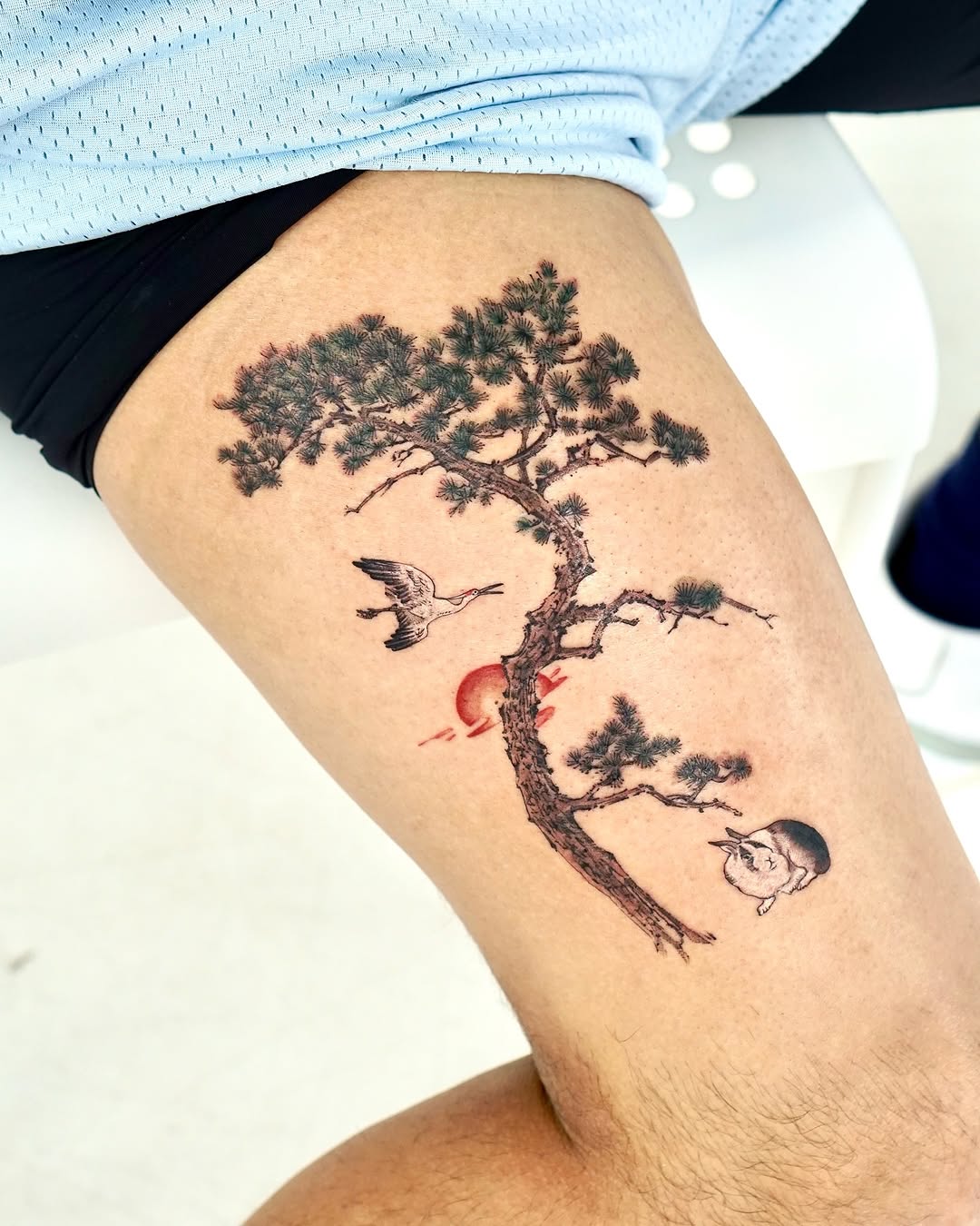 Nature