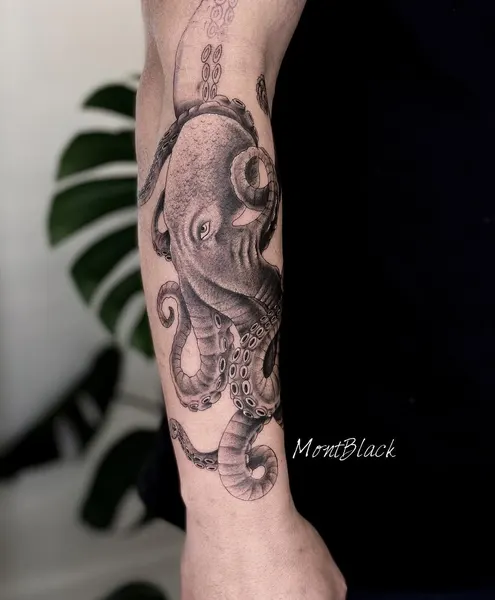 Animal