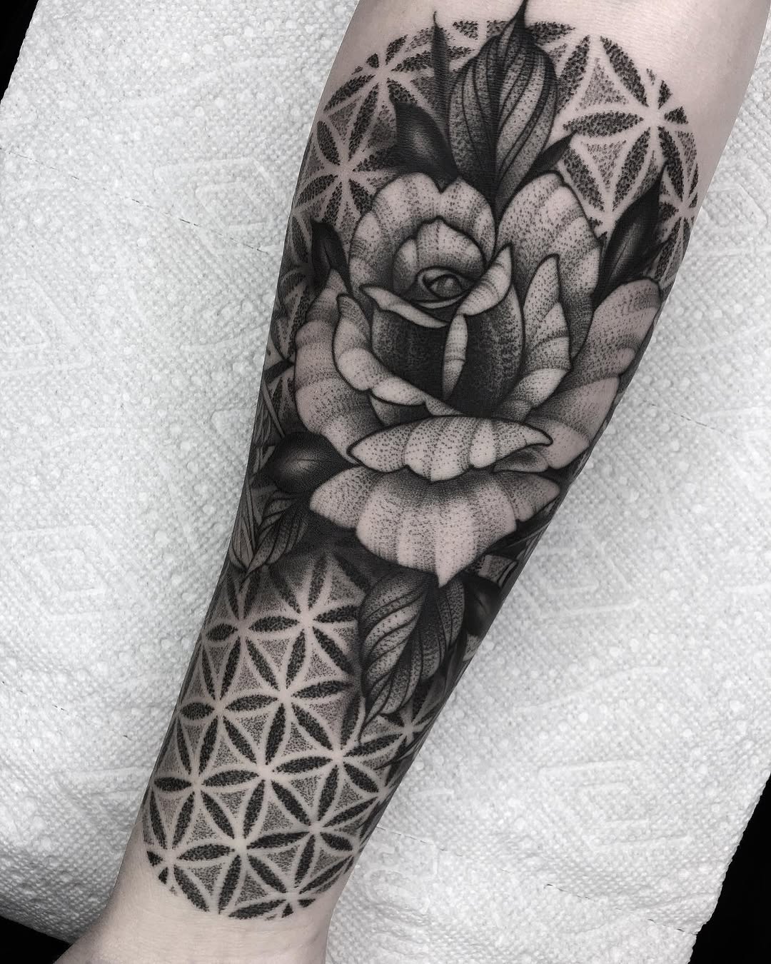 Flower, Rose