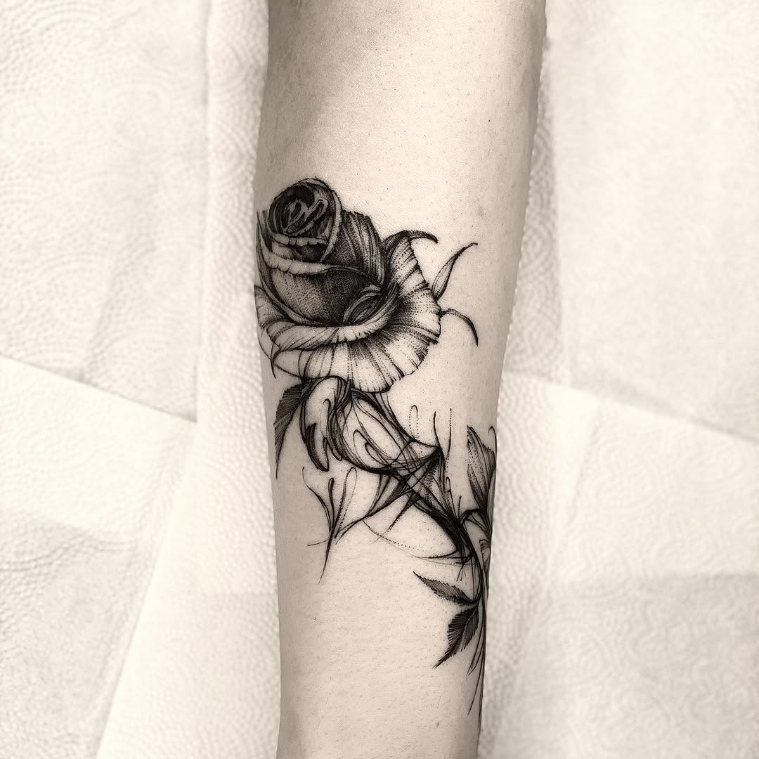 Flower, Rose