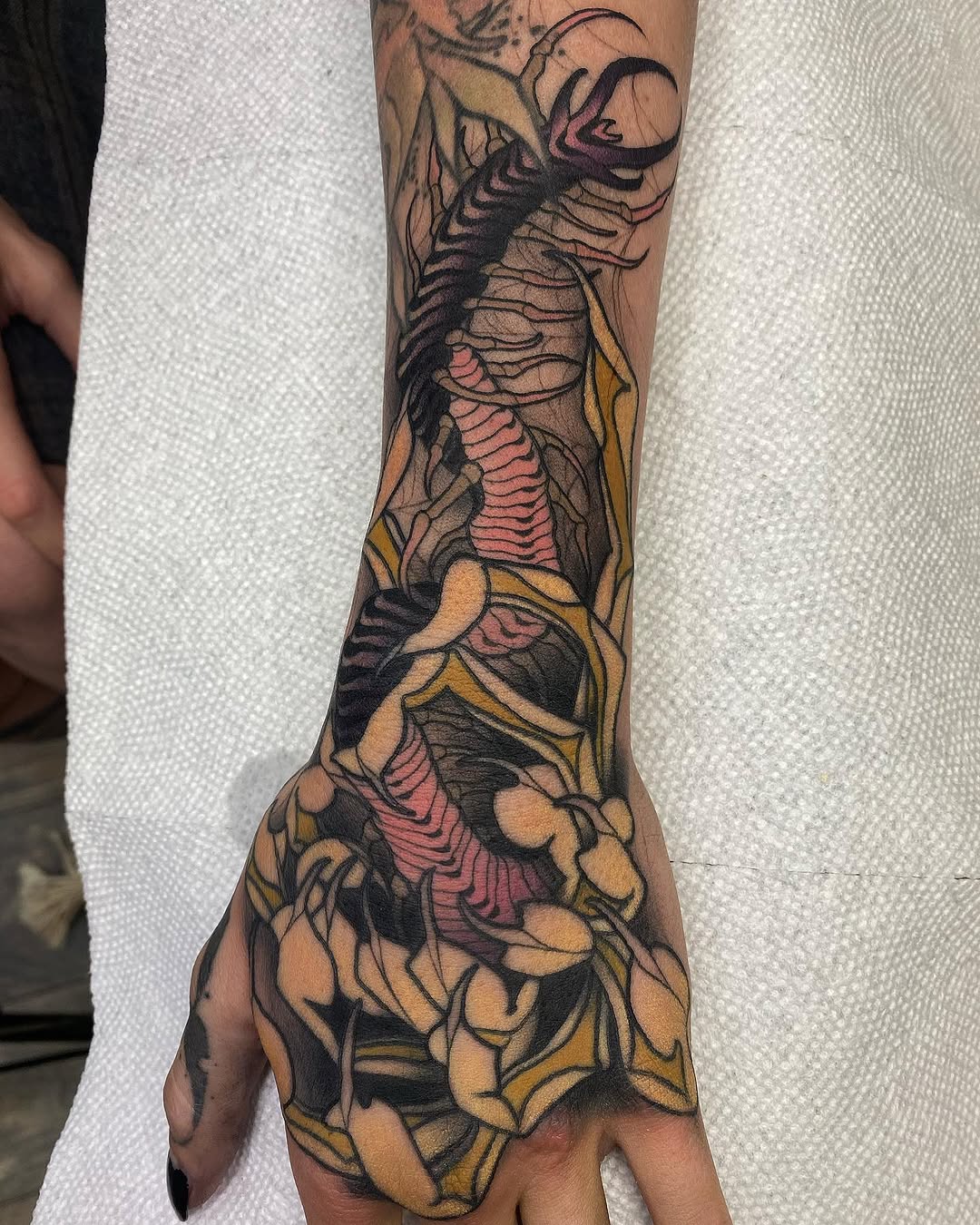 Dragon
