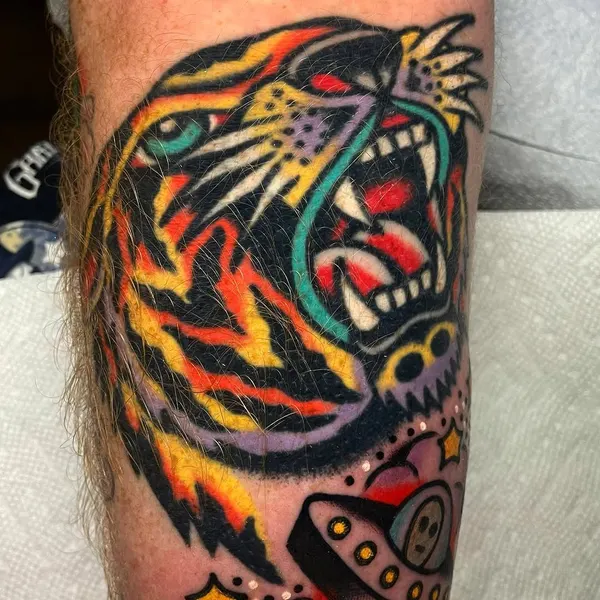 Tiger, Animal