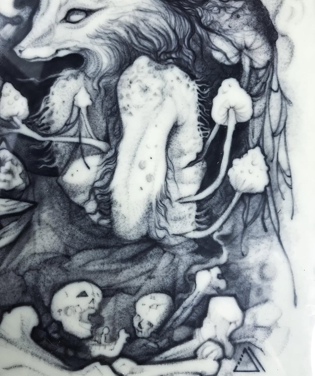 Animal, 다람쥐