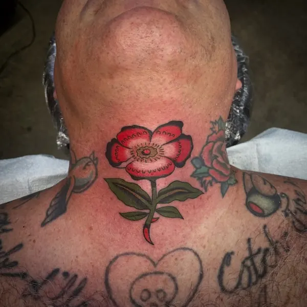 Flower, Rose, Nature