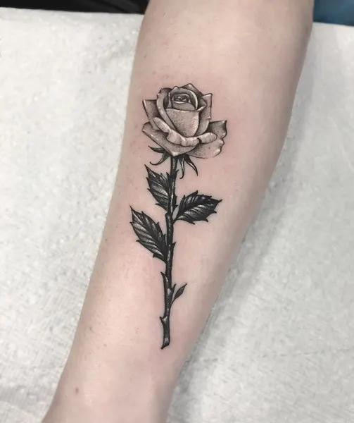 Flower, Rose