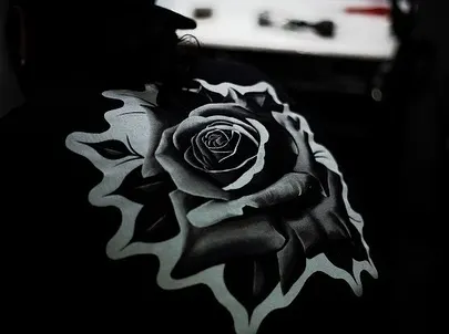 Flower, Nature, Rose