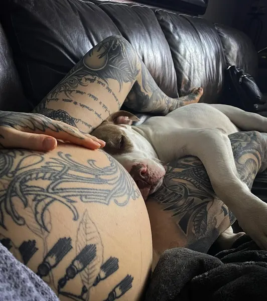 arlotattoos