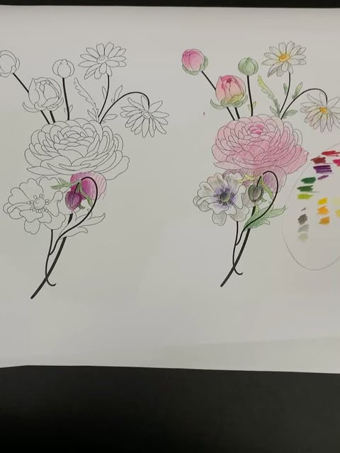 Flower, Rose, Nature