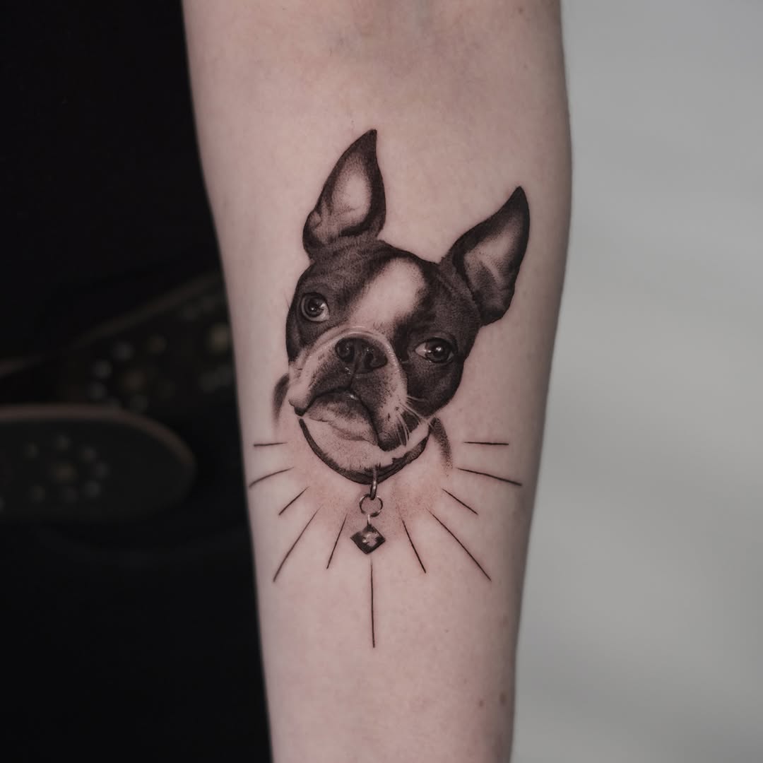 Animal