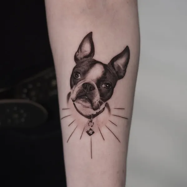 Animal