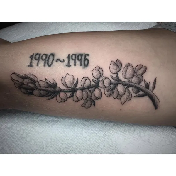 Flower, Mini, Rose