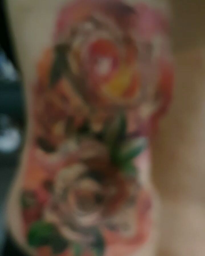 Flower, Rose, Nature