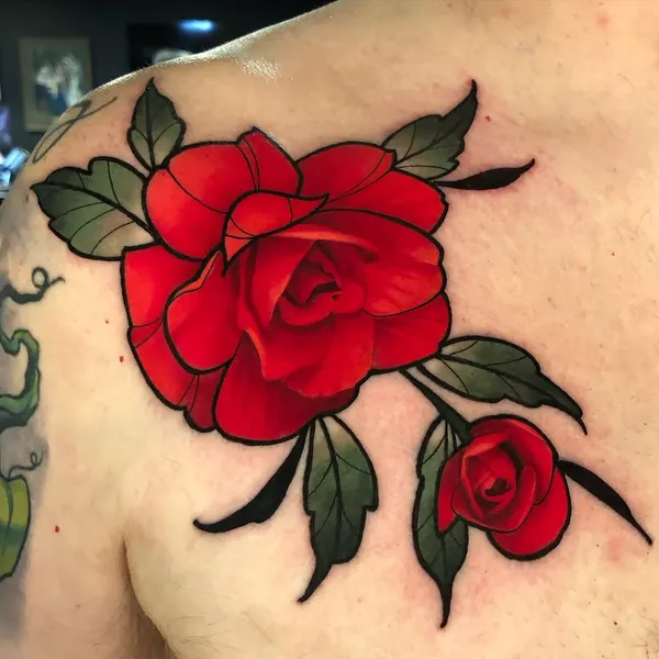 Flower, Rose, Nature