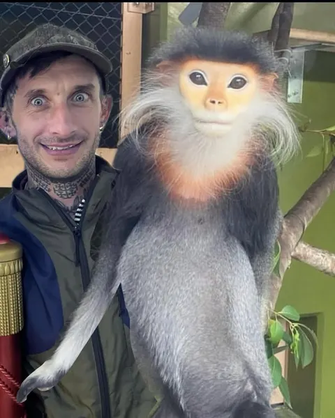 paulylingerfelt