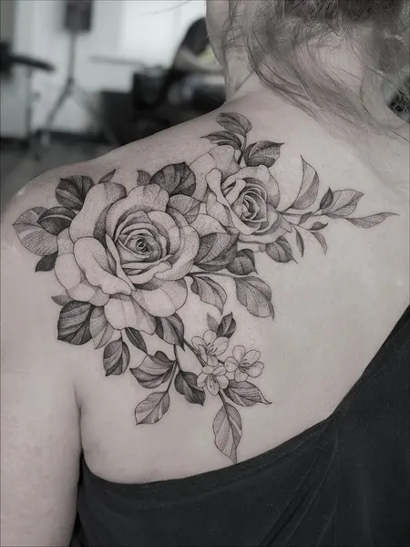 Flower, Rose, Nature