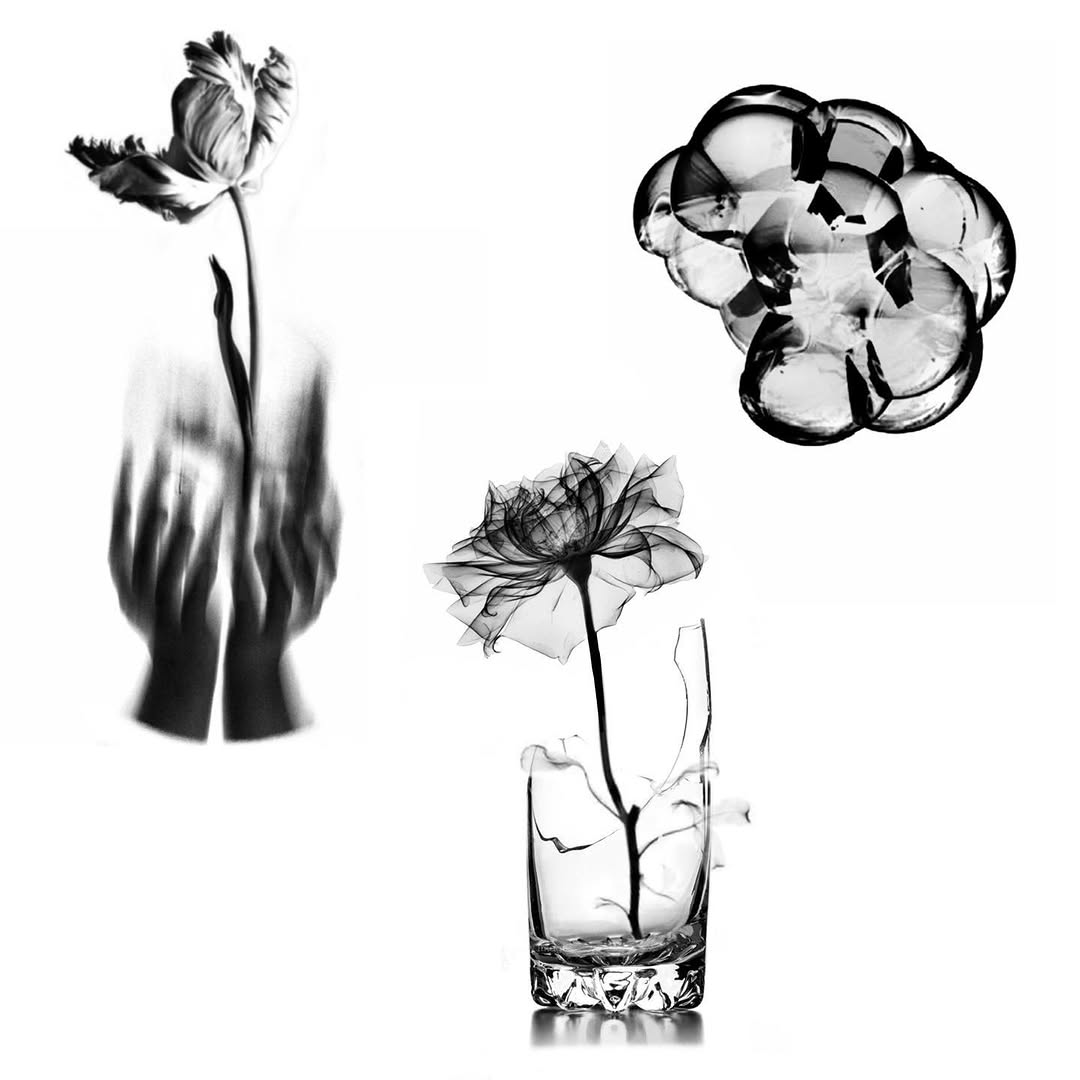 plantsnpokes
