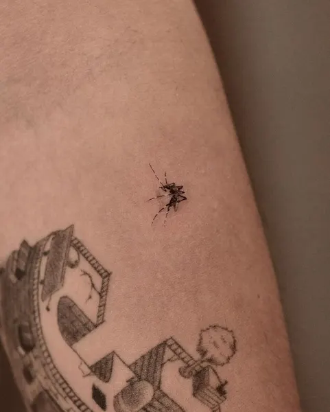 equilattera