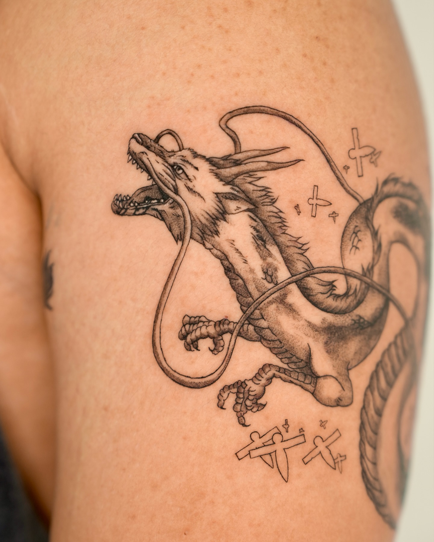 Dragon