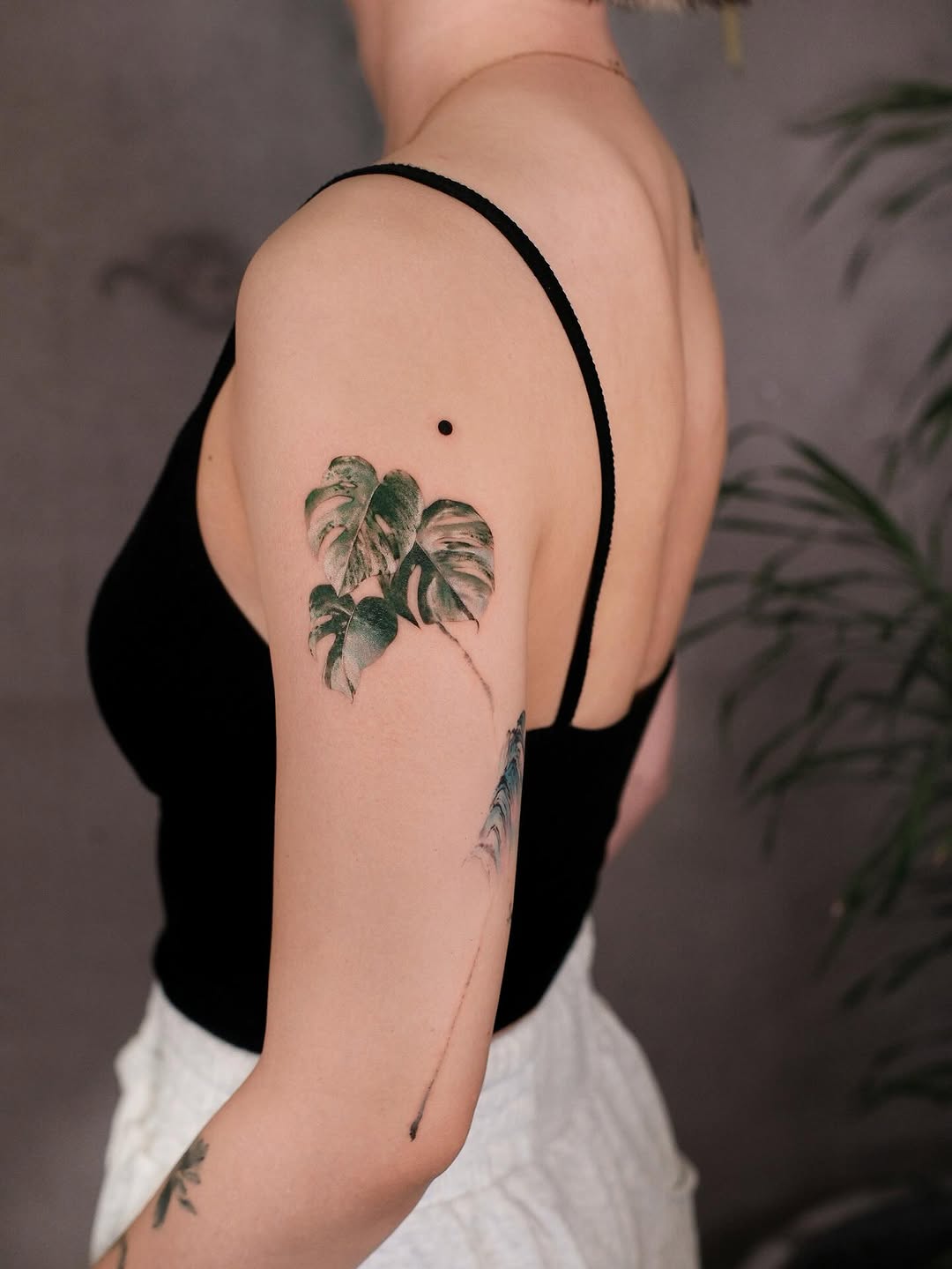 Flower, Rose, Nature