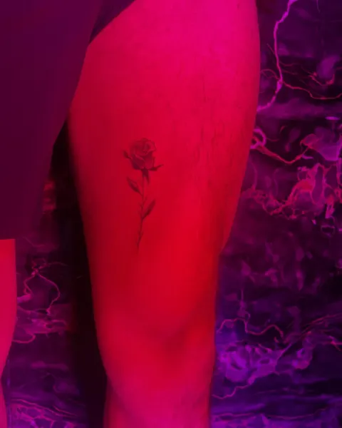 Flower, Rose
