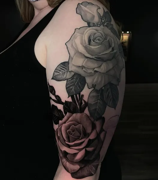 Flower, Nature, Rose