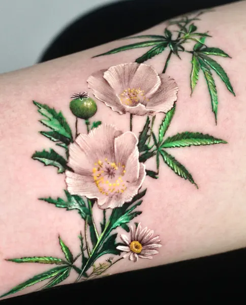 Flower, Rose