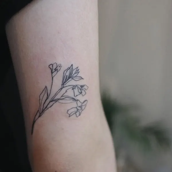 Flower, Rose