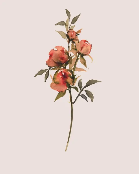 Flower, Rose