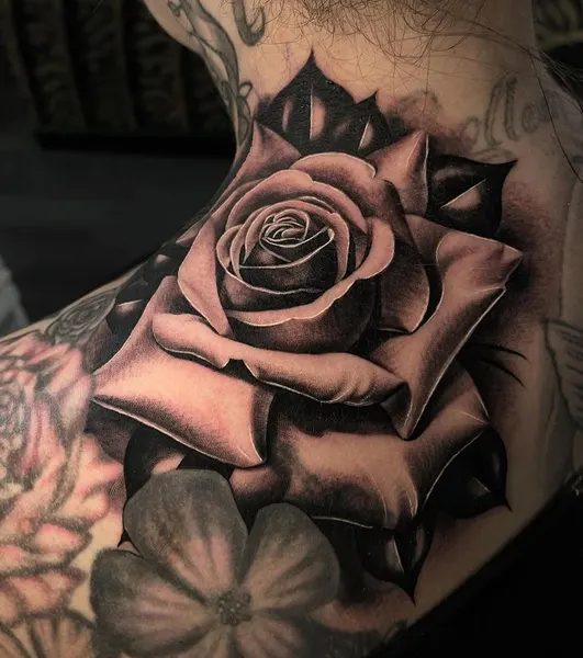 Flower, Rose, Nature