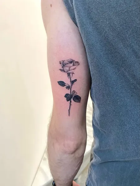 Flower, Rose