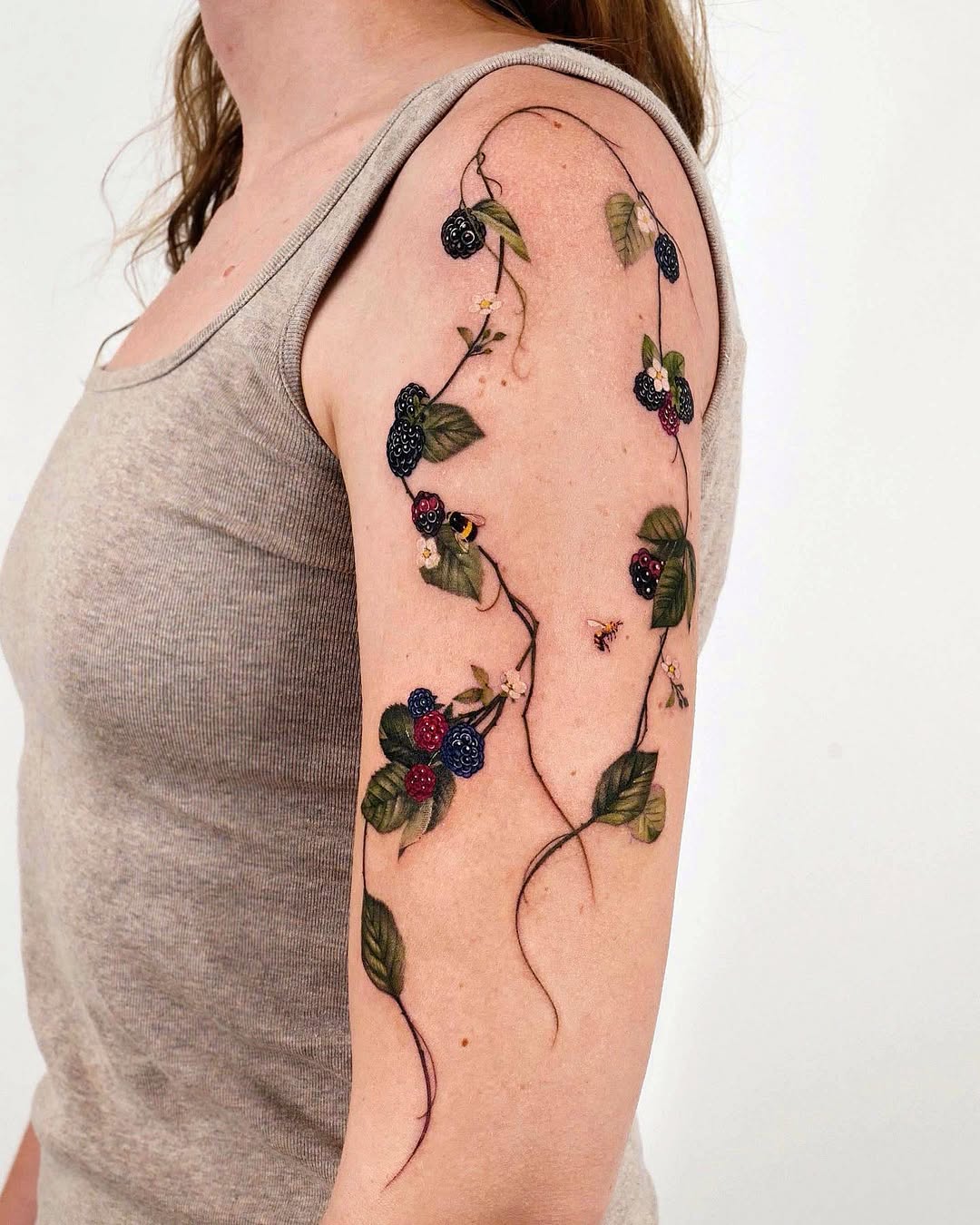 Nature, Rose, Flower