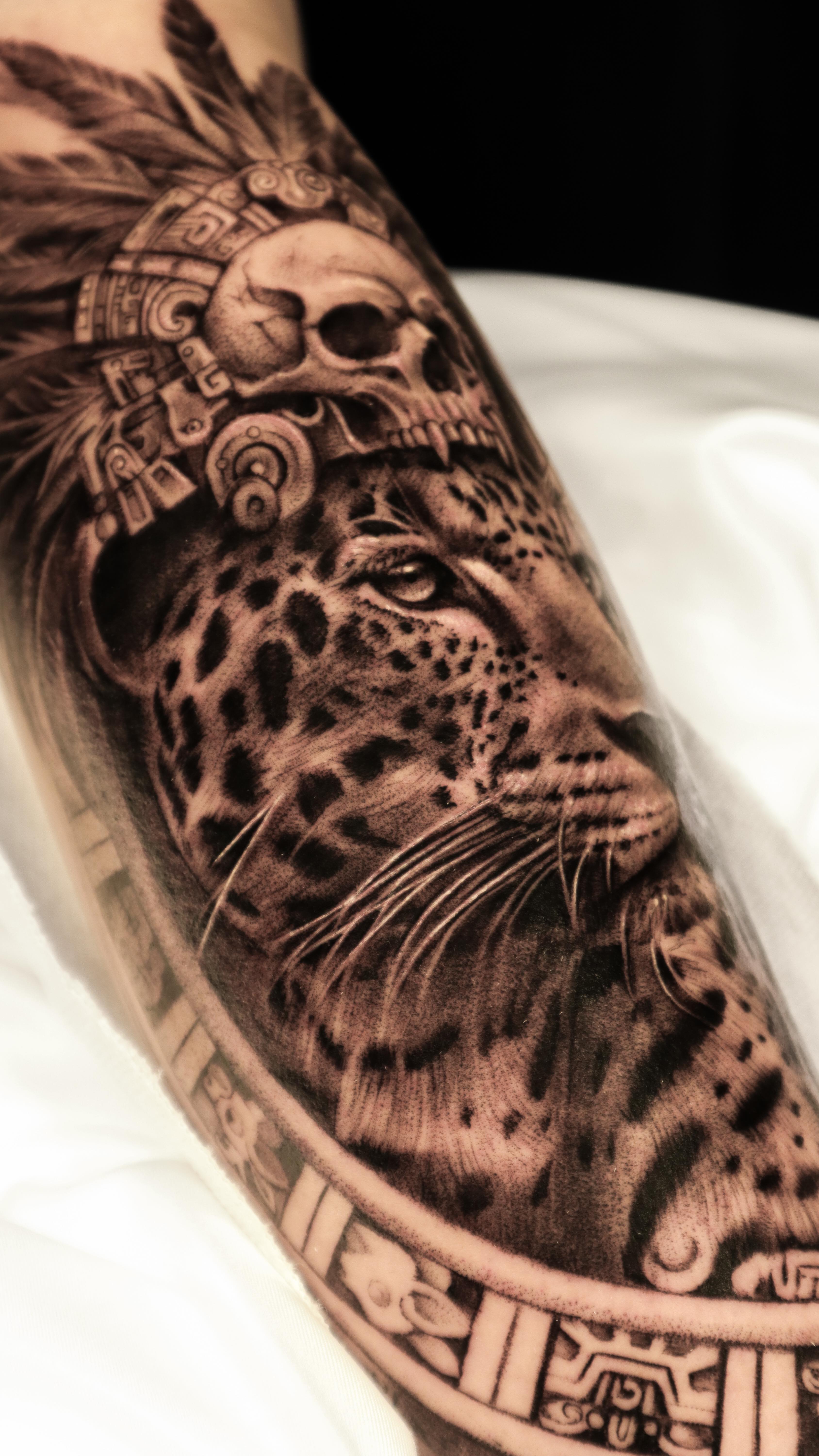 Animal, 표범, 재규어, 치타