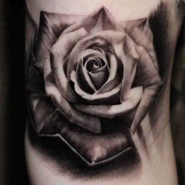 Flower, Rose