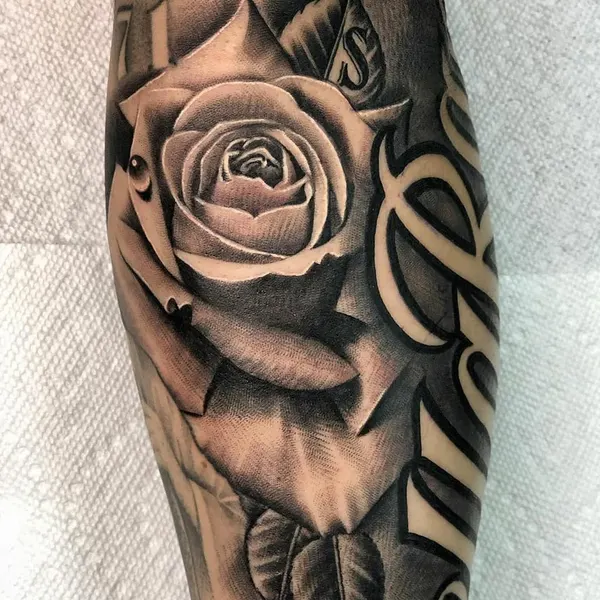 Flower, Rose