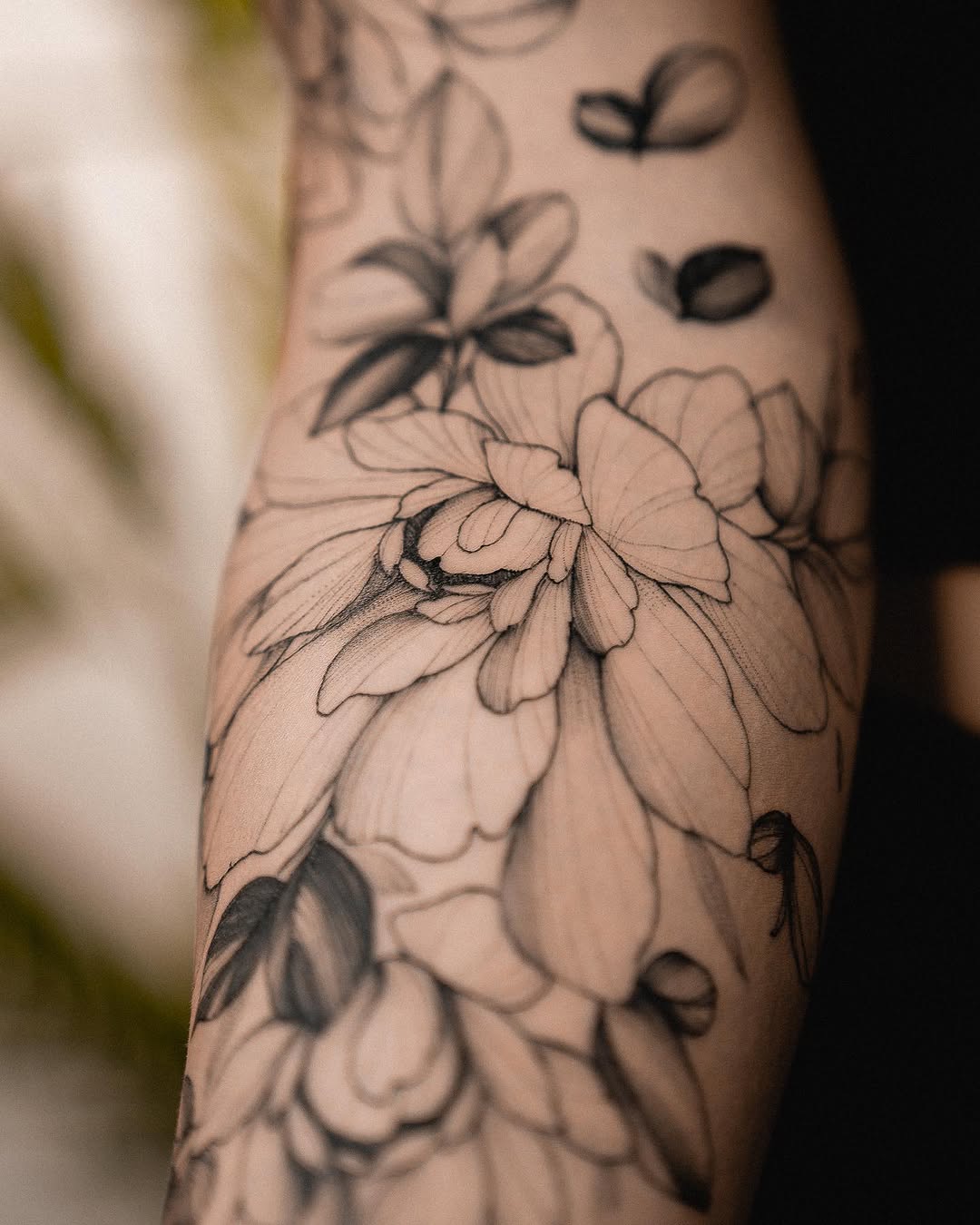 Rose, Flower