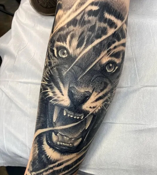 Tiger, 팬서