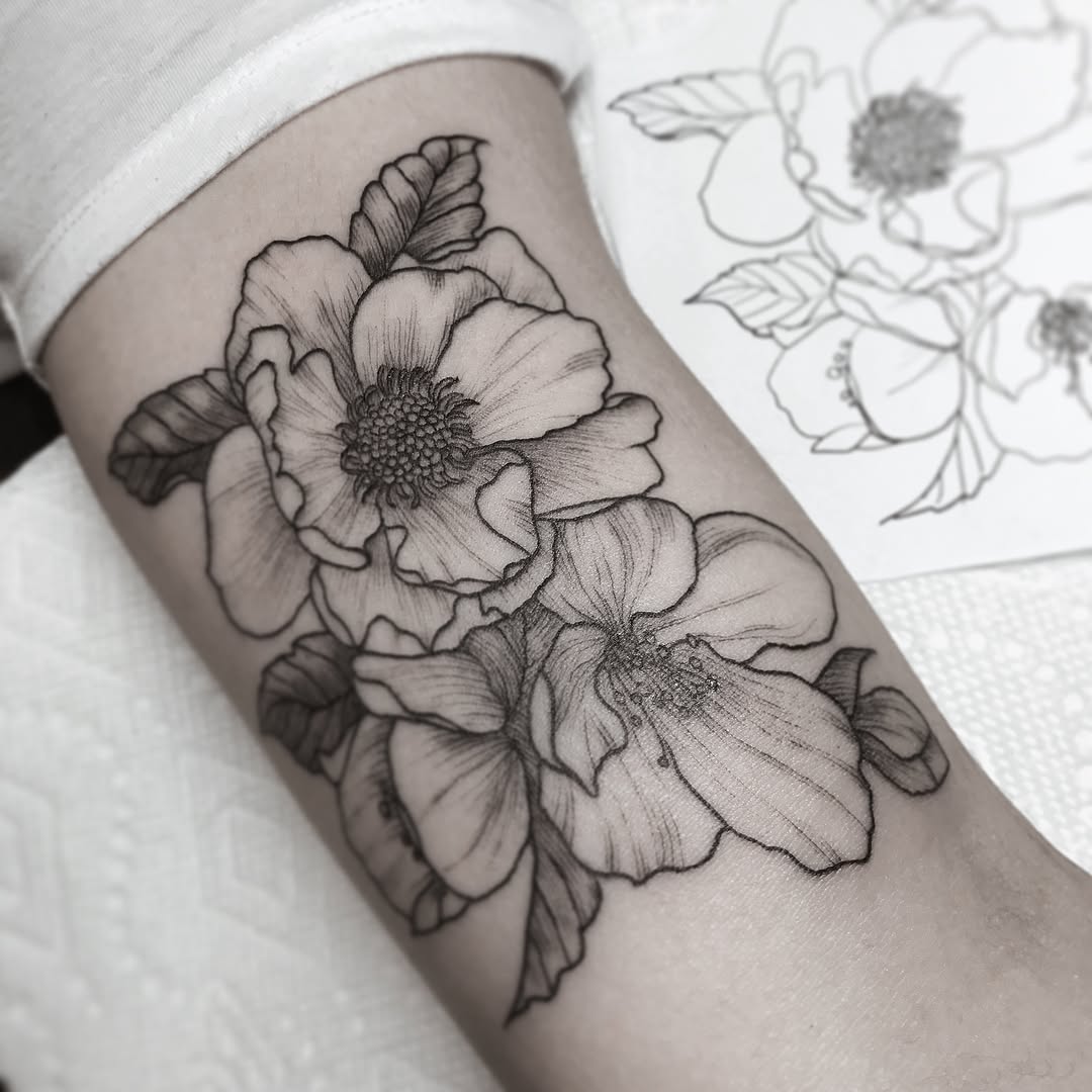 Rose, Flower