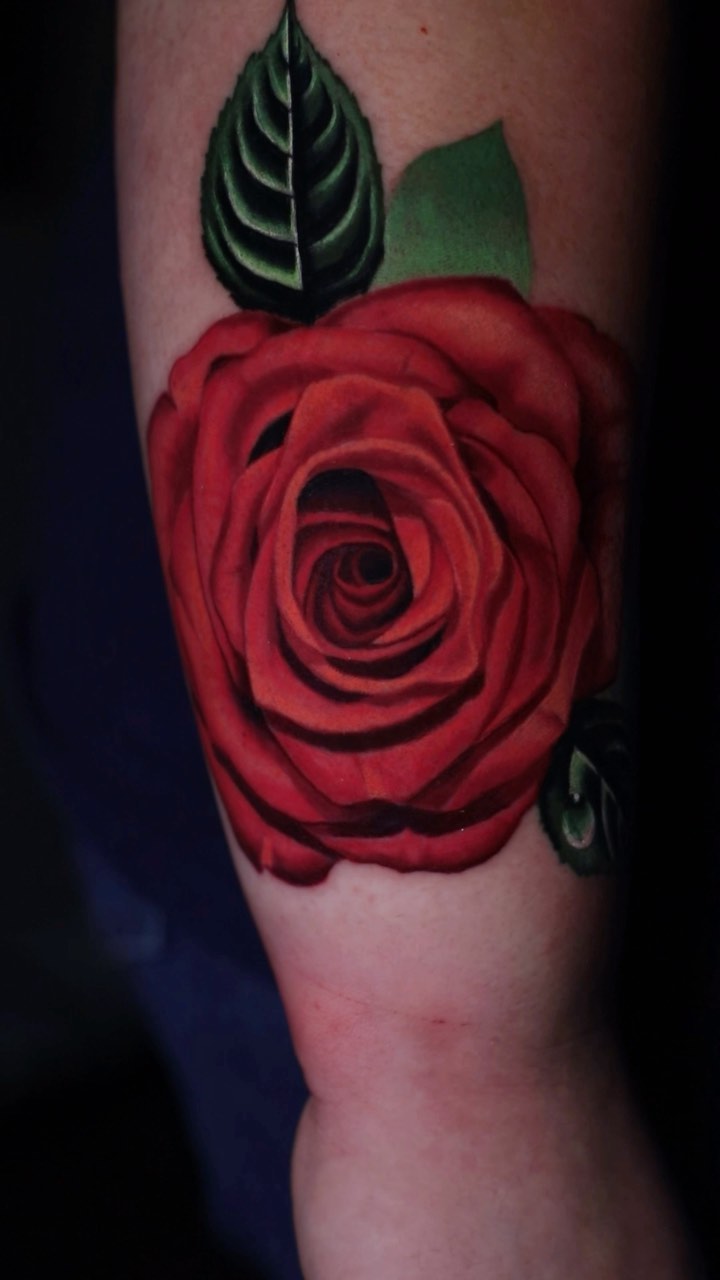 Flower, Rose