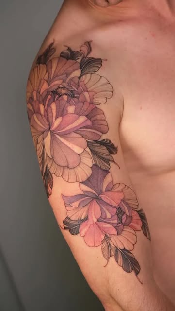 Flower, Rose, Nature