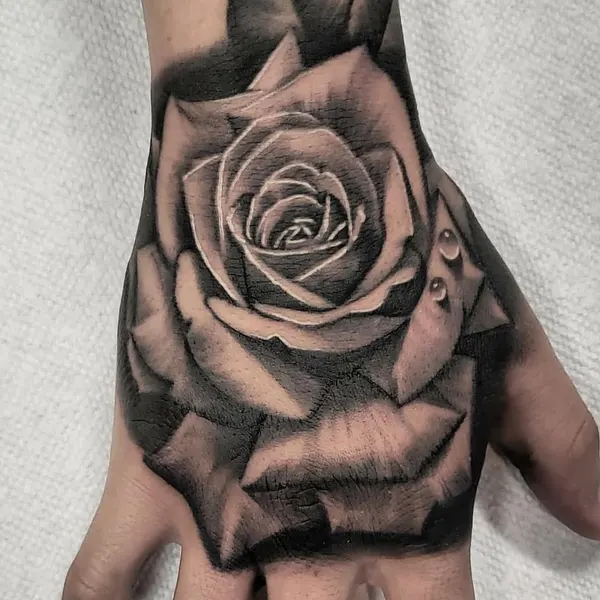 Flower, Rose