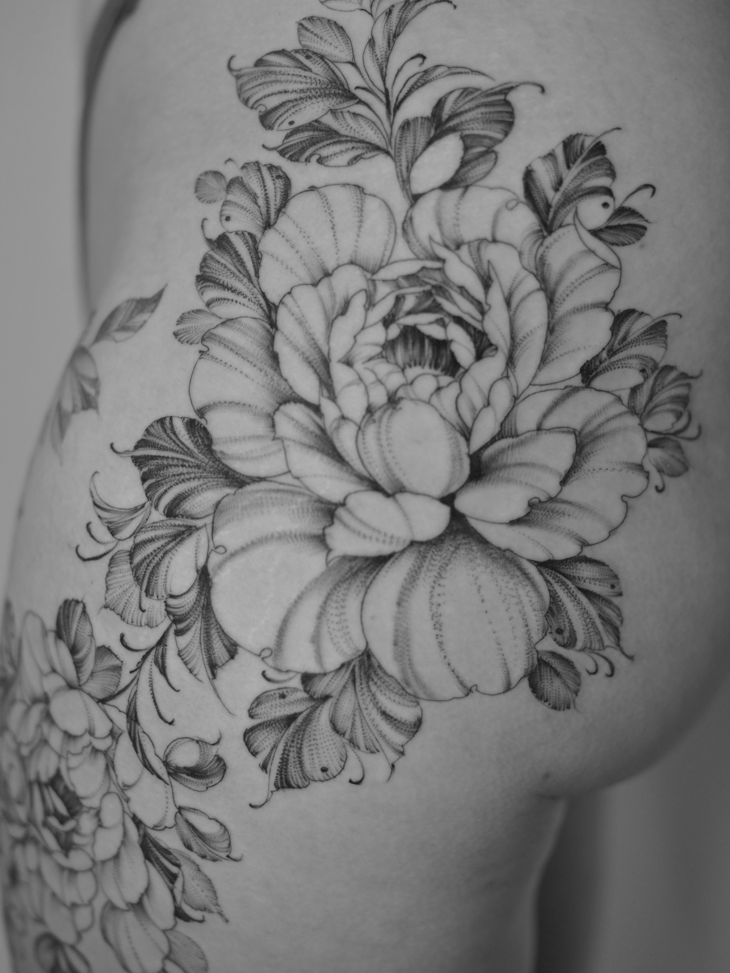 Flower, Rose